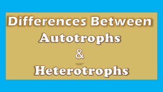 Unlocking the Differences Autotrophs vs Heterotrophs  A Clear Explanation [upl. by Verger]