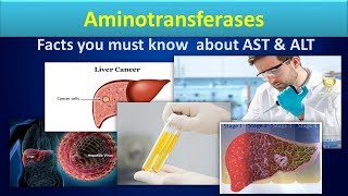 AminotransferaseClear overview about ASTALT [upl. by Arney]