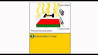 Electric Charge  How a Photocopier Works [upl. by Sueahccaz]