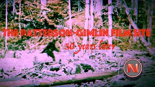 The PattersonGimlin Film Site 50 Years Later [upl. by Karry]