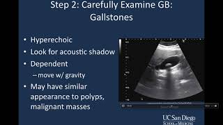 Introduction to Biliary Ultrasound [upl. by Wier]