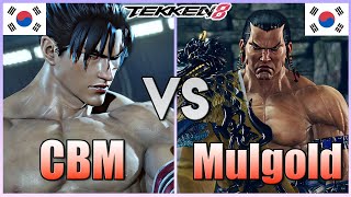 Tekken 8 ▰ CBM 1 Jin Kazama Vs MulGold Feng ▰ High Level Matches [upl. by Laehctim]