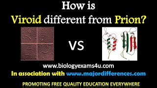 5 Differences between Viroids and Prions Viroids vs Prions in 5 minutes [upl. by Retrac]