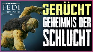 Geheimnis der Schlucht  Gerücht  Jedi Survivor  Lösung  Tipps Tricks  Star Wars [upl. by Htiduy]