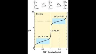 Amino Acid Titration Curve Part 1 [upl. by Eeltrebor]