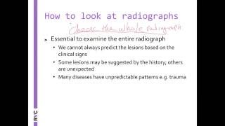 VET Talks  How to Read Radiographs [upl. by Hartmunn]