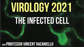 Virology Lectures 2021 11  The Infected Cell [upl. by Eicak]