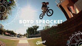 BOYD HILDER FLOW bmx [upl. by Anitnatsnok855]