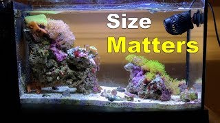 The Truth about the Fluval Evo V  Size [upl. by Anirehtac646]