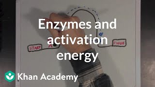 Enzymes and activation energy  Biomolecules  MCAT  Khan Academy [upl. by Adnahsat]