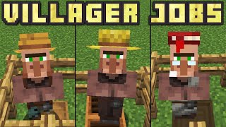 Minecraft 116  How To Give Villagers Jobs Every Villager Job [upl. by Leona792]