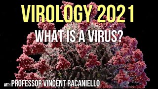 Virology Lectures 2021 1 What is a Virus [upl. by Aldon]