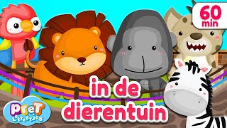 Pretlettertjes • Dierengeluiden in de Dierentuin • 60 min Special [upl. by Asiat837]