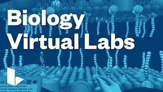 Labster Biology Virtual Labs [upl. by Philipson]