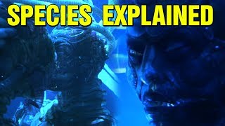 WHAT ARE THE ALIEN HUMAN HYBRIDS SPECIES MOVIE EXPLAINED [upl. by Schuman]