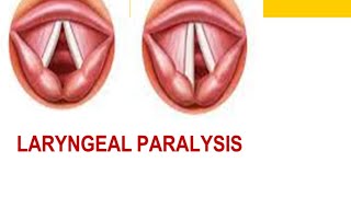 Laryngeal Paralysis [upl. by Crary662]