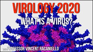 Virology Lectures 2020 1 What is a Virus [upl. by Eleaffar]