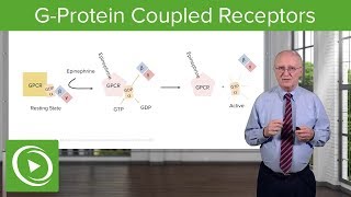 GProtein Coupled Receptors GPCRs – Biochemistry  Lecturio [upl. by Itak]