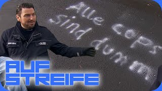 “Alle Cops sind dumm” Beleidigende Botschaft auf der Straße  Auf Streife  SAT1 [upl. by Dupre]