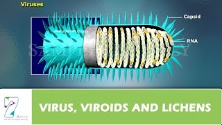 VIRUS VIROIDS and LICHENS [upl. by Ysteb]