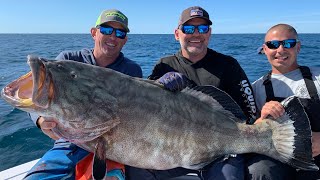 MONSTER BLACK GROUPER Catch Clean amp Cook [upl. by Kati]