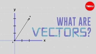 What is a vector  David Huynh [upl. by Oirretna97]