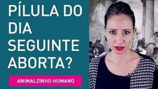 Pílula do dia seguinte é abortiva Contracepção  Animalzinho Humano [upl. by Devitt]