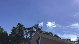 Beechcraft G36 Bonanza Flyover From Plymouth Municipal Airport KPYM [upl. by Reiser411]