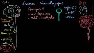 Examen neurologique  Introduction  Docteur Synapse [upl. by Otis13]