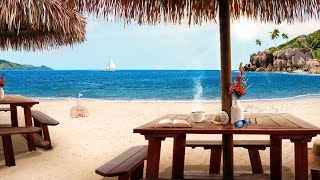 Beach Cafe Ambience tropical music ocean waves amp no worries [upl. by Hazeefah]