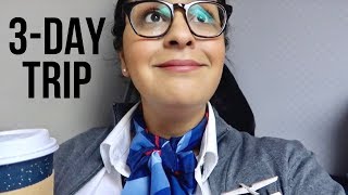 Flight Attendant Life  Worst Part of the Job  VLOG 4 2019 [upl. by Hailahk]