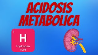 Acidosis Metabólica [upl. by Oribel]