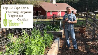 Top 10 Tips For a Thriving Organic Vegetable Garden [upl. by Dunstan35]