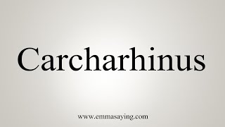 How To Say Carcharhinus [upl. by Edlihtam47]