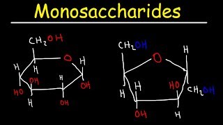 Monosaccharides  Glucose Fructose Galactose amp Ribose  Carbohydrates [upl. by Henri]