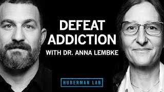 Dr Anna Lembke Understanding amp Treating Addiction [upl. by Lustig]