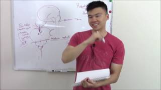 USMLE Neurology 20 Neuro Pathology Herniations [upl. by Shermie]