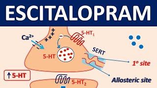 Escitalopram Lexapro  Mechanism precautions side effects amp uses [upl. by Ecila]