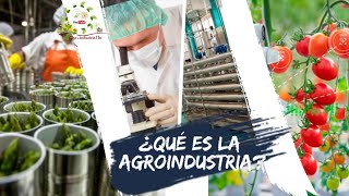 ¿Qué es la agroindustria [upl. by Cleon]