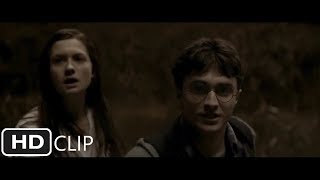 Harry Potter and the Deathly Hallows part 1  the Order at the burrow after the sky battle HD [upl. by Kieran]