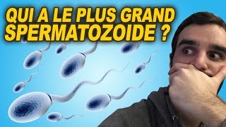 QUI A LE PLUS GRAND SPERMATOZOÏDE [upl. by Jillene151]