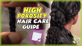 The BEST HAIR CARE TIPS for HIGH POROSITY hair [upl. by Anaxor]