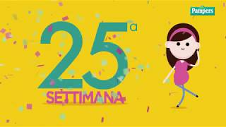 25° settimana di gravidanza [upl. by Aerdnaeel]