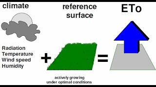 🔴Reference Evapotranspiration ETo explained ⛅️🌤 [upl. by Thorr]