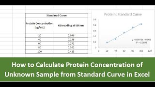 How to calculate Protein Concentration of Unknown Sample from standard curve in excel [upl. by Vergos]