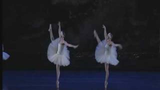 Swan Lake Act II  Big Swans Dance [upl. by Enaasiali]