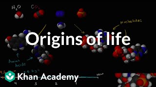 Origins of life  Biology  Khan Academy [upl. by Hceicjow]