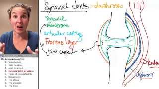 Articulations 4 Synovial joint anatomy [upl. by Sackville]