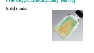 Phenotypic susceptibility testing for Mycobacterium tuberculosis [upl. by Aivyls]