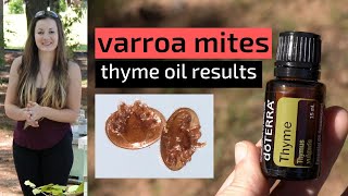 Beekeeping For Beginners  Treating Varroa Mites With Thyme Oil amp Results [upl. by Latimer885]